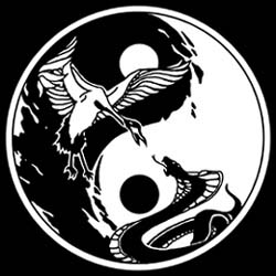 Wing Chun World